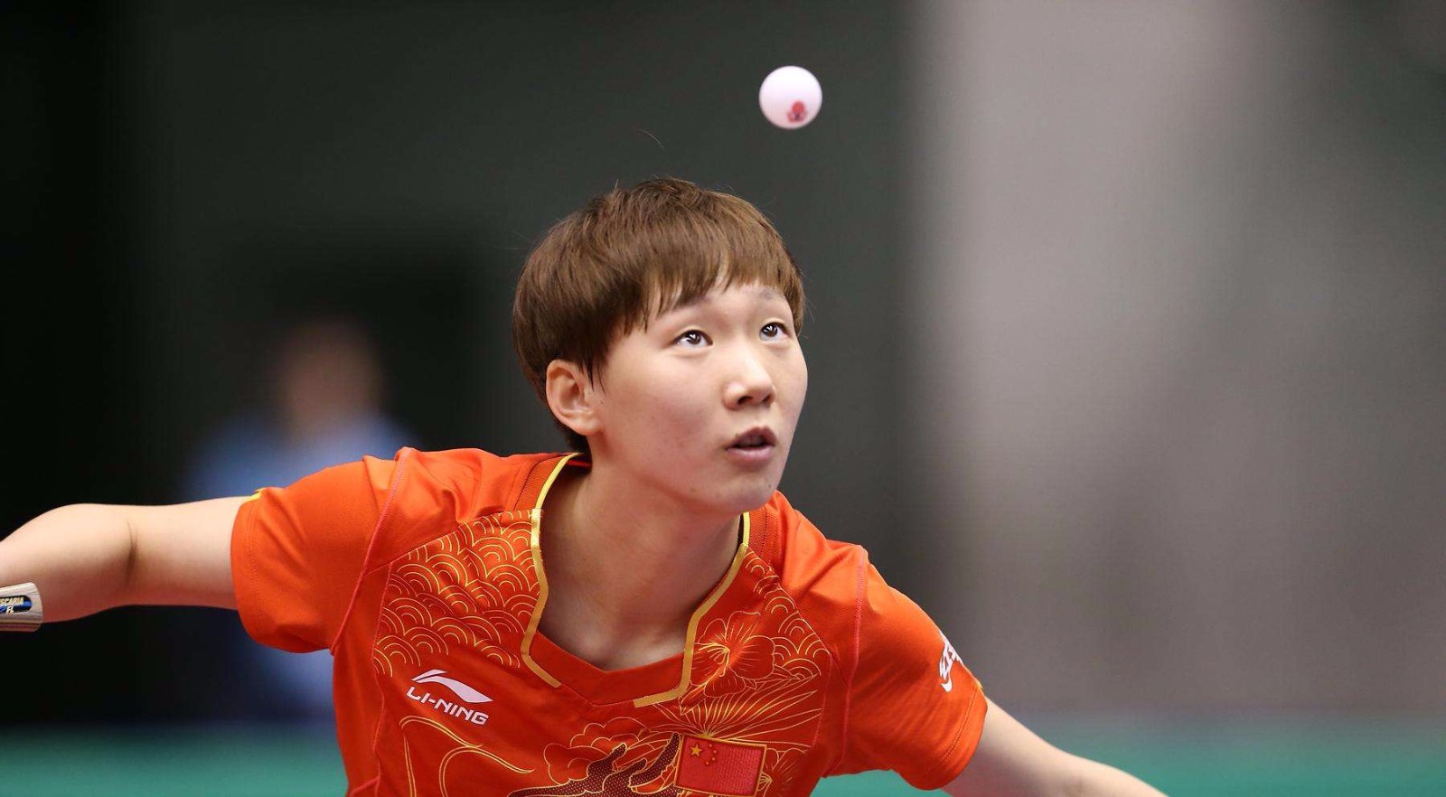 季后赛动力 季后赛动力