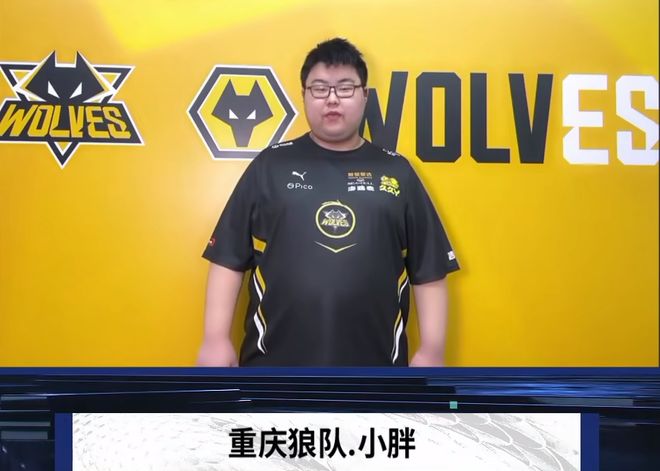 属于 属于